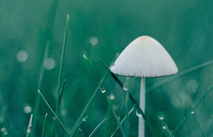 抖圈- 为du而生(中国区)官方网站